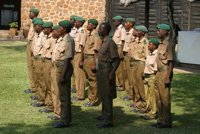 zimparks-scouts