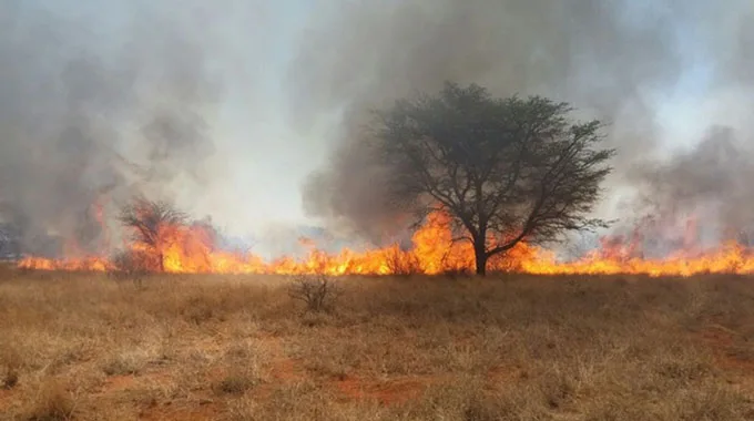 www.herald.co_.zwVeld-fire-e43e0fb58eb4006ac263150c5e751fe9cf0a2b96