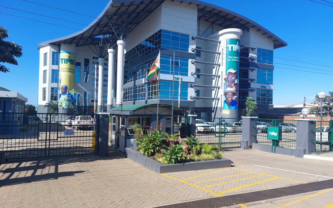 Zimbabwe’s tobacco export earnings surge: TIMB