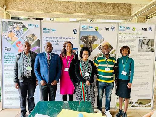 Deputy Director in the Ministry of Environment, Climate and Wildlife, Angela Kabira,