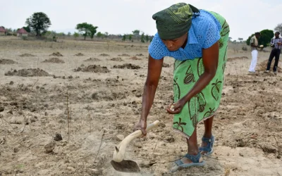 Binga Still Bears Kariba Dam’s Human Cost as Tonga Communities Seek Development Justice