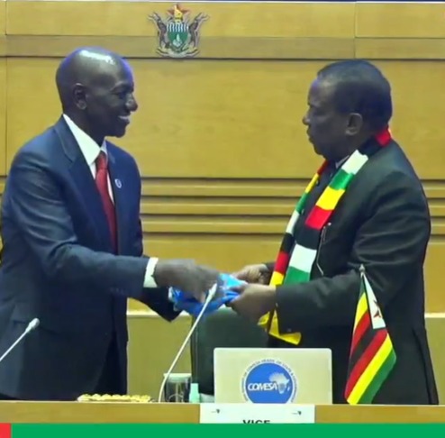 President Mnangagwa pushes value addition, industrialization in COMESA