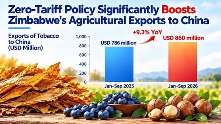 Zim agric exports gaining ground in Chinese market