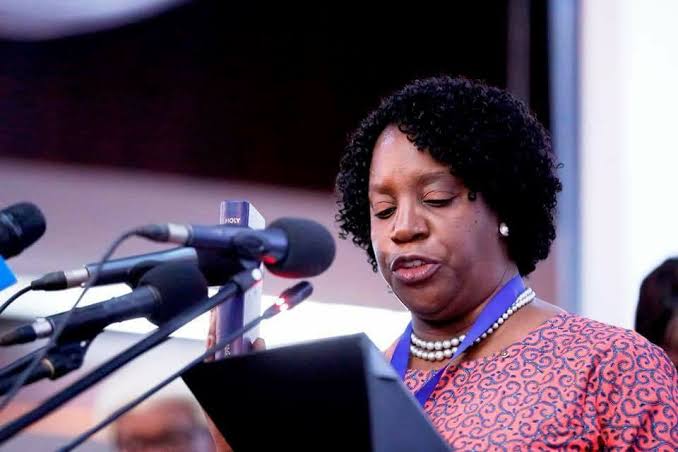 COMESA urged to mobilize domestic resources