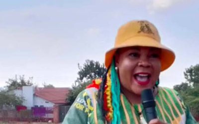 Mliswa challenges Zanu-PF to turn resolutions into results